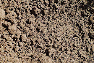 Пескогрунт Пескогрунт